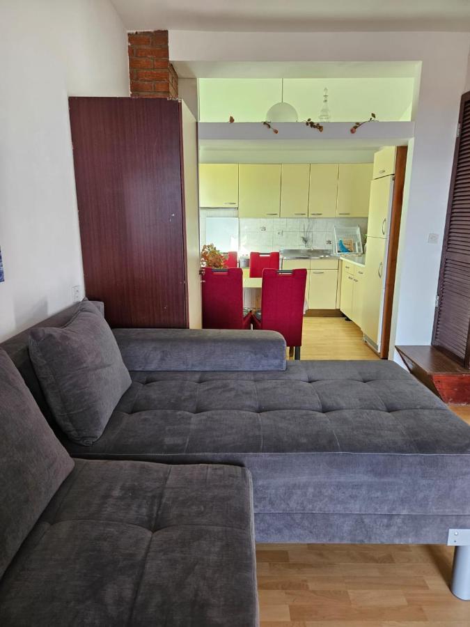 סלצה Apartments With Swimming Pool 9X4M מראה חיצוני תמונה